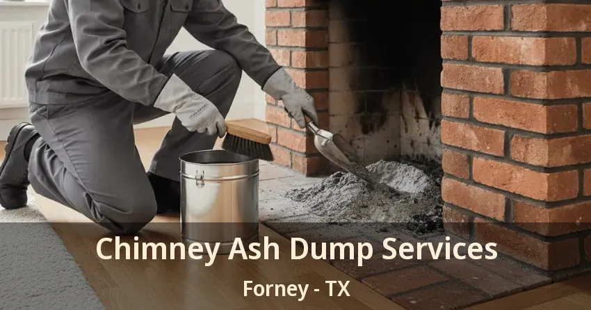 Chimney Ash Dump Services Forney - TX Chimney Ash Dump Services Forney - TX