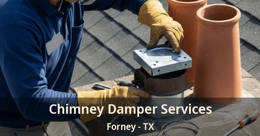 Chimney Damper Services Forney - TX