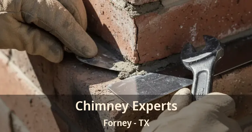 Chimney Experts Forney - TX
