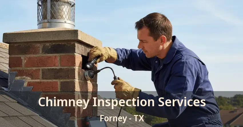 Chimney Inspection Services Forney - TX