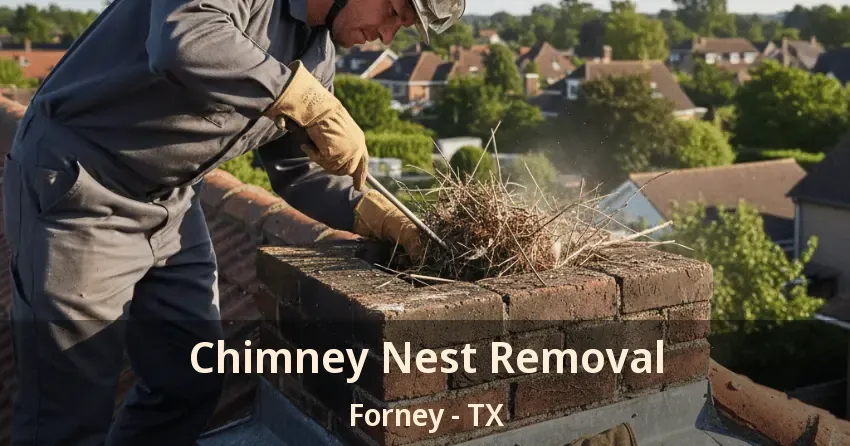 Chimney Nest Removal Forney - TX