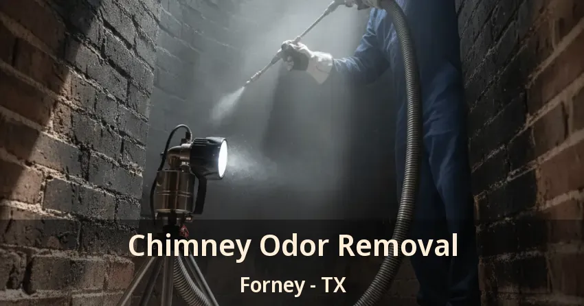 Chimney Odor Removal Forney - TX