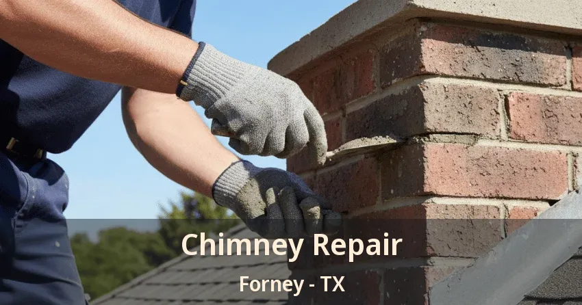 Chimney Repair Forney - TX