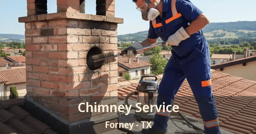 Chimney Service Forney - TX