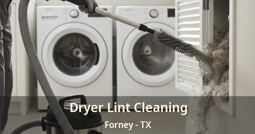 Dryer Lint Cleaning Forney - TX