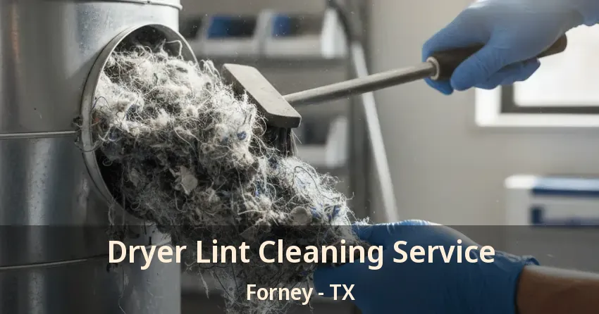 Dryer Lint Cleaning Service Forney - TX