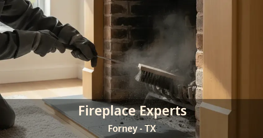 Fireplace Experts Forney - TX