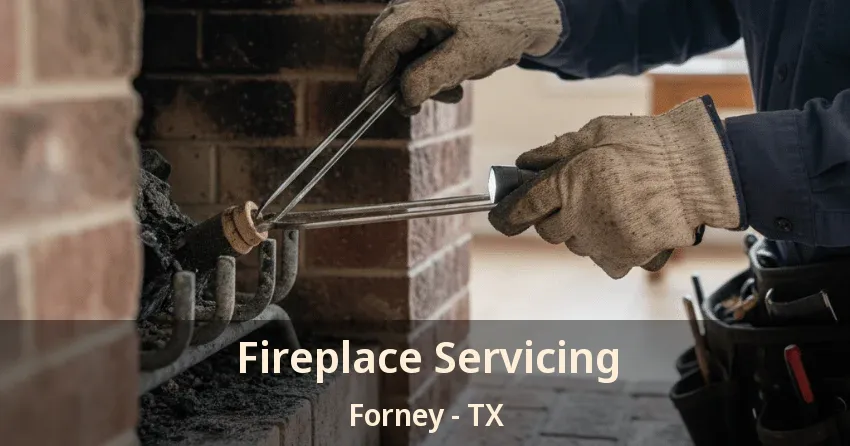 Fireplace Servicing Forney - TX
