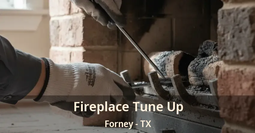 Fireplace Tune Up Forney - TX