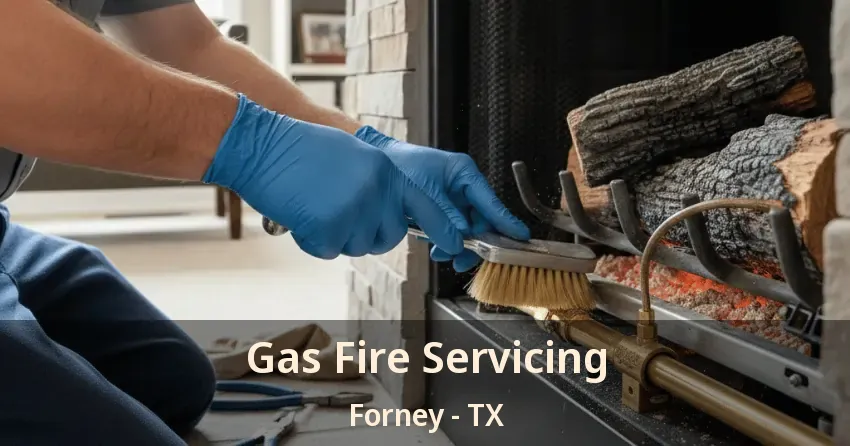 Gas Fire Servicing Forney - TX