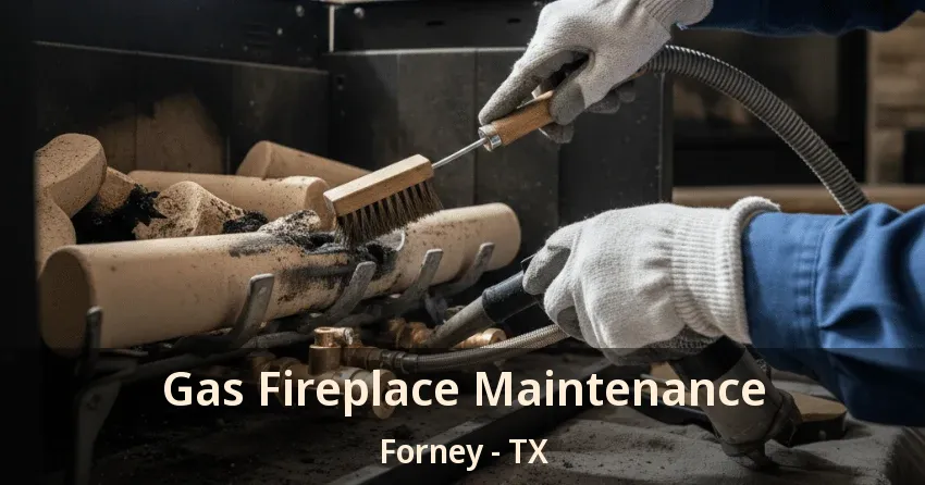 Gas Fireplace Maintenance Forney - TX