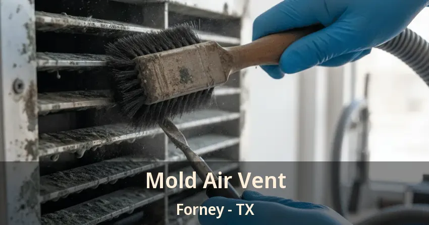 Mold Air Vent Forney - TX