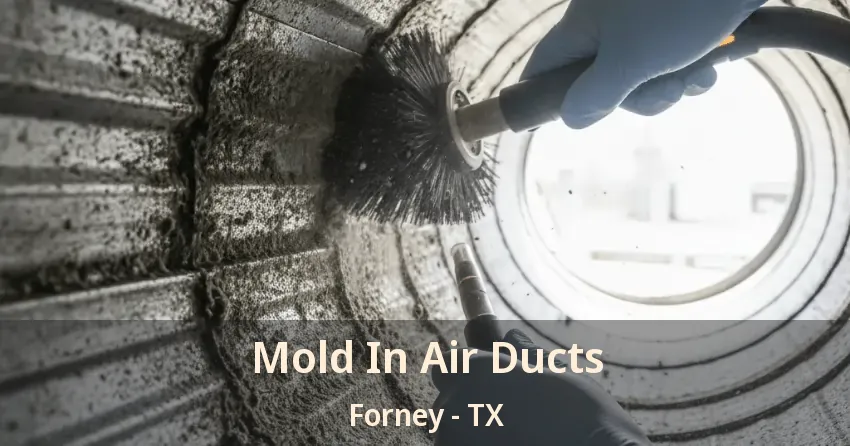 Mold In Air Ducts Forney - TX Mold In Air Ducts Forney - TX