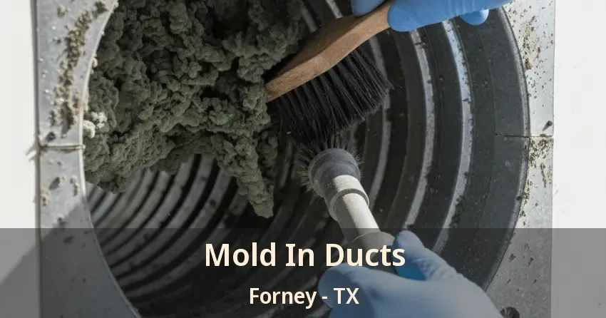 Mold In Ducts Forney - TX