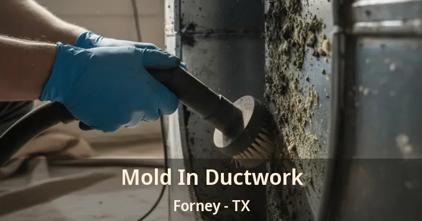 Mold In Ductwork Forney - TX