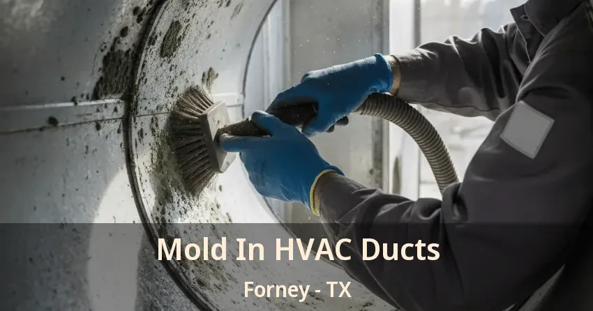 Mold In HVAC Ducts Forney - TX