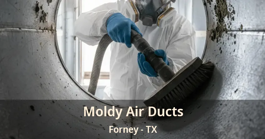 Moldy Air Ducts Forney - TX